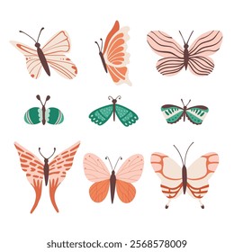 Various decorative cute butterflies and moths. Vector hand drawn illustration. All elements are isolated.