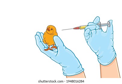 Various disease treatment ideas for everyone on earth. By doing experiments with living things such as eggs, chickens and mice. Illustration, art, graphic retro style in vector isolated on background.