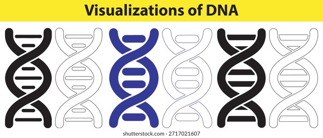 Varias Ilustraciones de hélice de ADN para uso científico y educativo