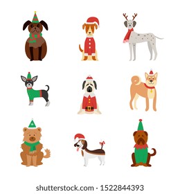 Various dog breeds cute cartoon characters in Christmas clothes and hats flat vector illustration isolated on white background. Animals pets for Xmas and New Year design.