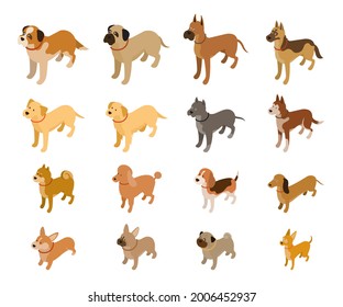 Various Dog Breeds Isometric Set, Large, Medium and Small Body Sizes