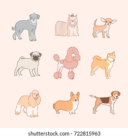 various dog breeds line drawing vector illustration flat design