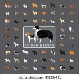 Various Dog Breeds Side View