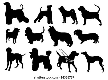 Various dog breeds - silhouettes