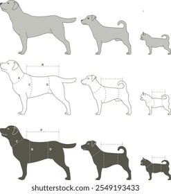 Varias medidas de perro para la tabla de tallas para razas gigantes, Medianas y Pequeñas. Conjunto de Vectores de esquema