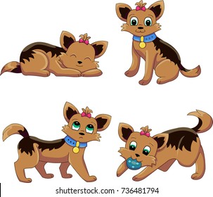 Various dog positions. Dog breed vector illustration collection. Yorkshire terrier vector poses.