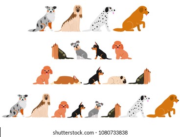 various dogs border set