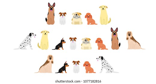 various dogs border set2