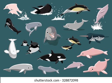 Various Dolphins Cartoon Vector Illustration