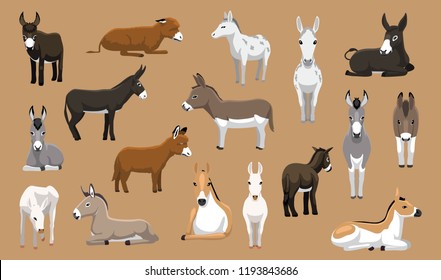 Various Donkey Breeds Cartoon Vector Characters