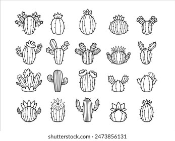 Various doodle cactus illustrations in black outline. Hand-drawn style vector isolated on white background. Botanical collection