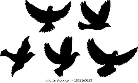 Various Doves Set Flying Illustration