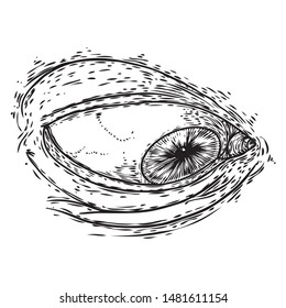 Various drawing of the all seeing eye in different direction and emotion. The symbol of the Masons as an option design element. Human vision. Vector.
