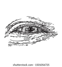 Various drawing of the all seeing eye in different direction and emotion. The symbol of the Masons as an option design element. Human vision. Vector.