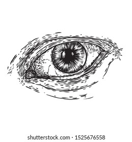 Similar Images, Stock Photos & Vectors of Vector illustration, pencil ... Unique Eye Drawings