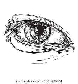 Varios dibujos de todos los ojos que ven en una dirección y emoción diferentes. El símbolo de los masones como elemento de diseño de opciones. Visión humana. Vector.
