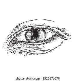 Various drawing of the all seeing eye in different direction and emotion. The symbol of the Masons as an option design element. Human vision. Vector.