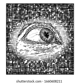 Various drawing of the all seeing eye in different direction and emotion. The symbol of the Masons as an option design element. Human vision. Vector.