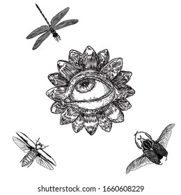 Various drawing of the all seeing eye in different direction and emotion with insects and bugs. The symbol of the Masons as an option design element. Human vision. Vector.