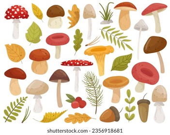 Various eatable and poison toxic mushroom and leaves autumn forest composition design element isolated nature botanical set on white background. Fall season plant decoration vector illustration