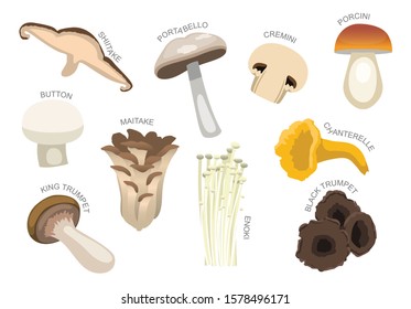 2,660 Maitake Mushroom Images, Stock Photos & Vectors 