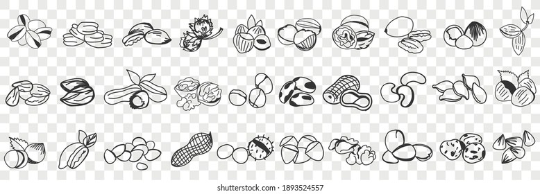 Various edible nut doodle set