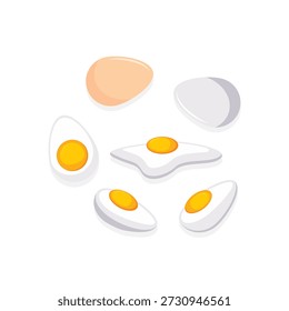 Various egg collection with raw brown and white eggs, boiled sliced eggs, and sunny side up fried egg vector on white background