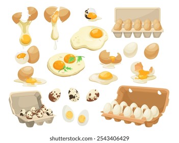 Various egg illustrations and dishes showing different styles of preparation. Vector illustration