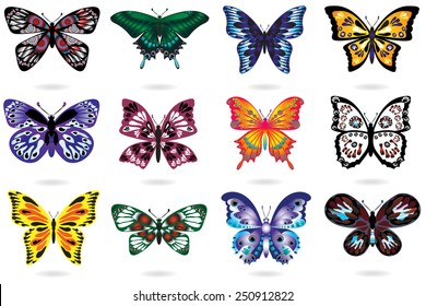 Various exotic butterflies