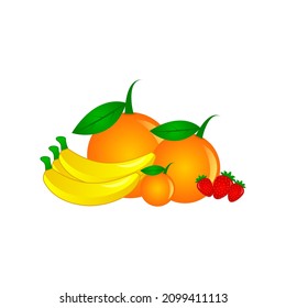 Various exotic fruits that are fresh, healthy for consumption and good for the body. fresh fruit vector illustration