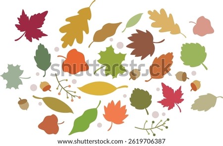 Various Fall Leaves Images, Plants, Nature