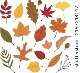 Various fallen leaves, autumn fruits, autumn leaves, autumn, fallen leaves