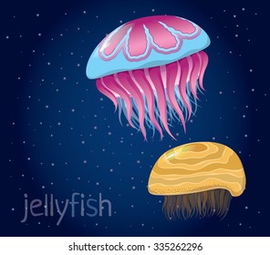 various fantastic jellyfish - Set of vector illustrations of marine life for design 