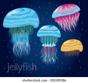 various fantastic jellyfish - Set of vector illustrations of marine life for design 