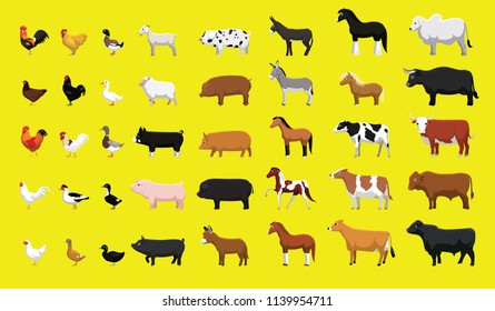 Various Farm Animals Side View Cartoon Vector Illustration Set