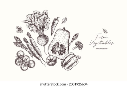 Various farm food composition on white background. Growing food concept. Organic fresh vegetables. Healthy eating. Hand drawn composition beets, pumpkin, cherry tomatoes, peppers, carrots, broccoli