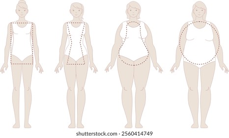 Various female body types. Women size chart. Human body measurements and proportions. Outline vector illustration