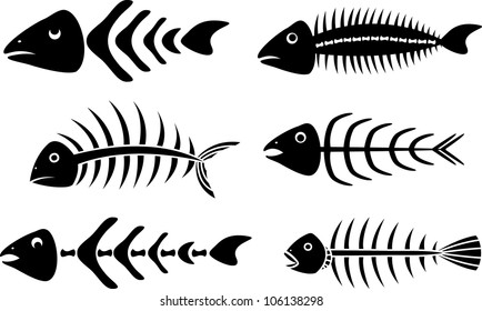 various fish bones stencils vector illustration for web