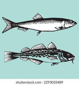 various fish drawing line art art vector pisces