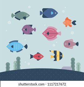 Various fish that live in the sea. flat design style vector graphic illustration set