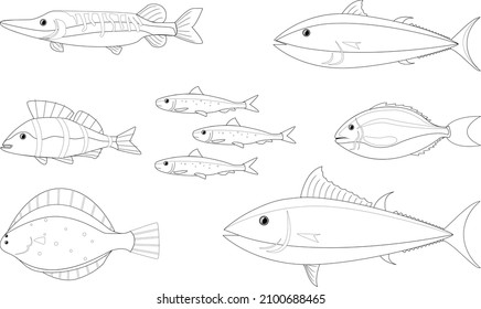 various fishes picture with no color for drawing book by vector design