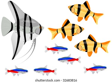 Various fishes separated on the white background.