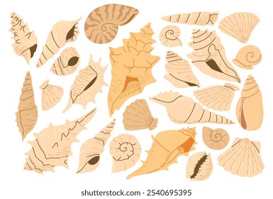 Diverso paquete de ilustración de concha de mar plana