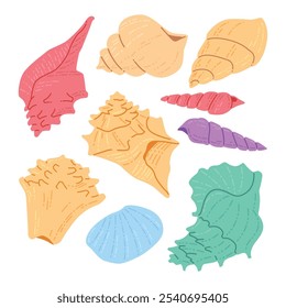 Various flat sea shell illustration pack