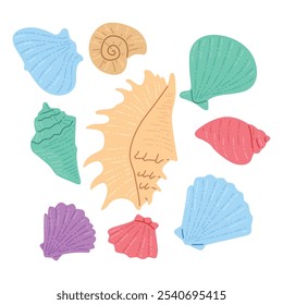 Various flat sea shell illustration pack