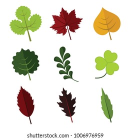 Various Floral Element Leaves Vector Illustration Graphic Design Set