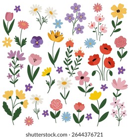 Various flower illustrations of hand-painted styles