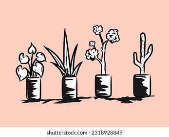 Various flower or ornamental plants in pots