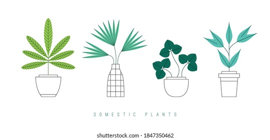 Various flower pots. Domestic plants. Minimalistic elegant icons. Colored Vector set. Flower shop concept. Simple design. Trendy illustration. Every icon is isolated on white background