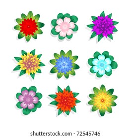 Various flowers